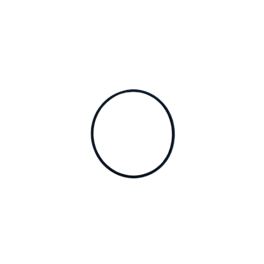 O-Ring-Dichtung 66.34x2.62 EPDM passend zu Bassin AP140/AP128-ab2017/Monolith AUFBEREITUNG - SERVICE
